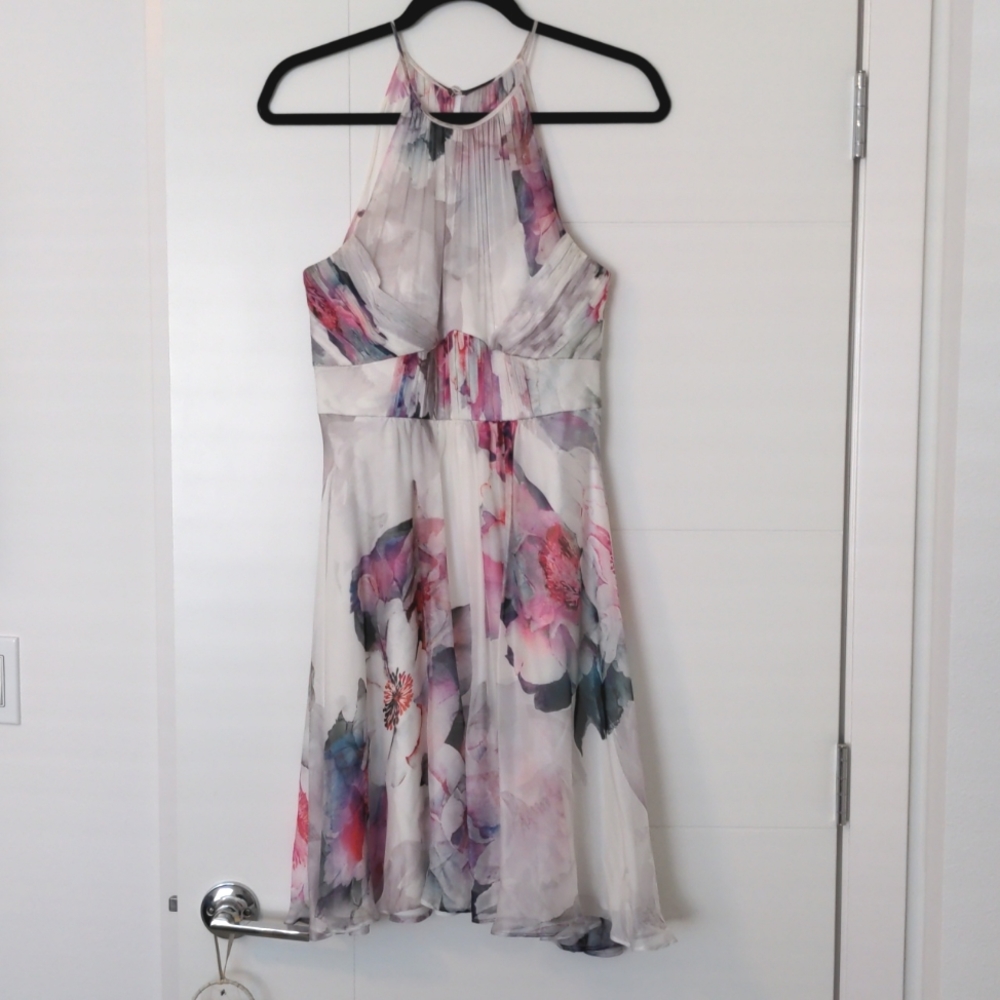 Ever New Ever After dress